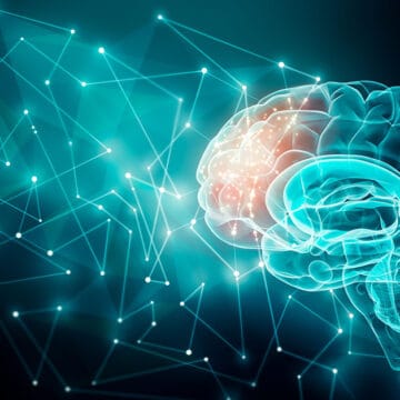 Human brain activity with plexus lines.. External cerebral conne Cele 6 Tipuri de Personalitate în PCM: Cum să Înțelegi Mai Bine Comunicarea