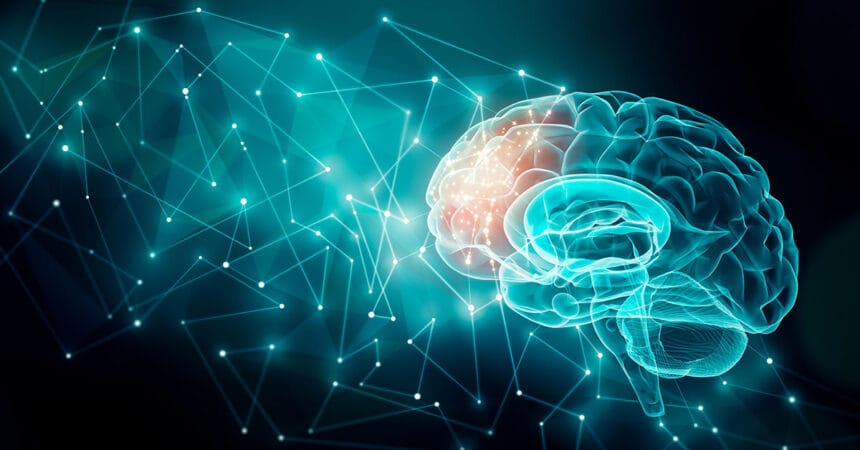 Human brain activity with plexus lines.. External cerebral conne Cele 6 Tipuri de Personalitate în PCM: Cum să Înțelegi Mai Bine Comunicarea