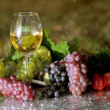 Podgoriile Vrancei: Ghid Complet pentru Iubitorii de Vin