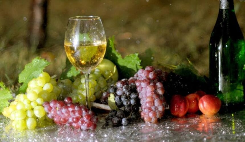 Podgoriile Vrancei: Ghid Complet pentru Iubitorii de Vin